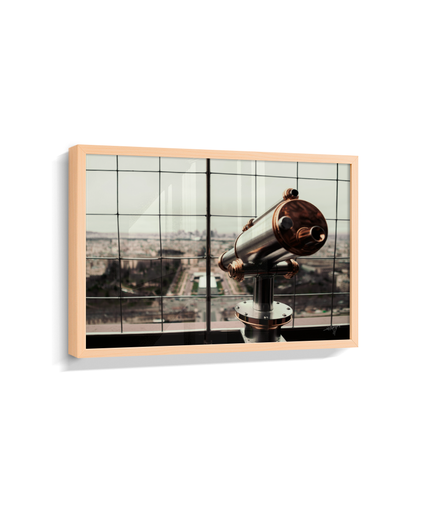 Looking Over Paris