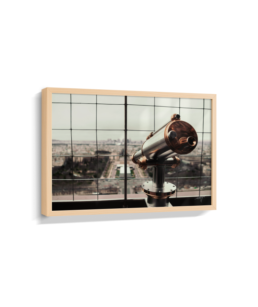 Looking Over Paris