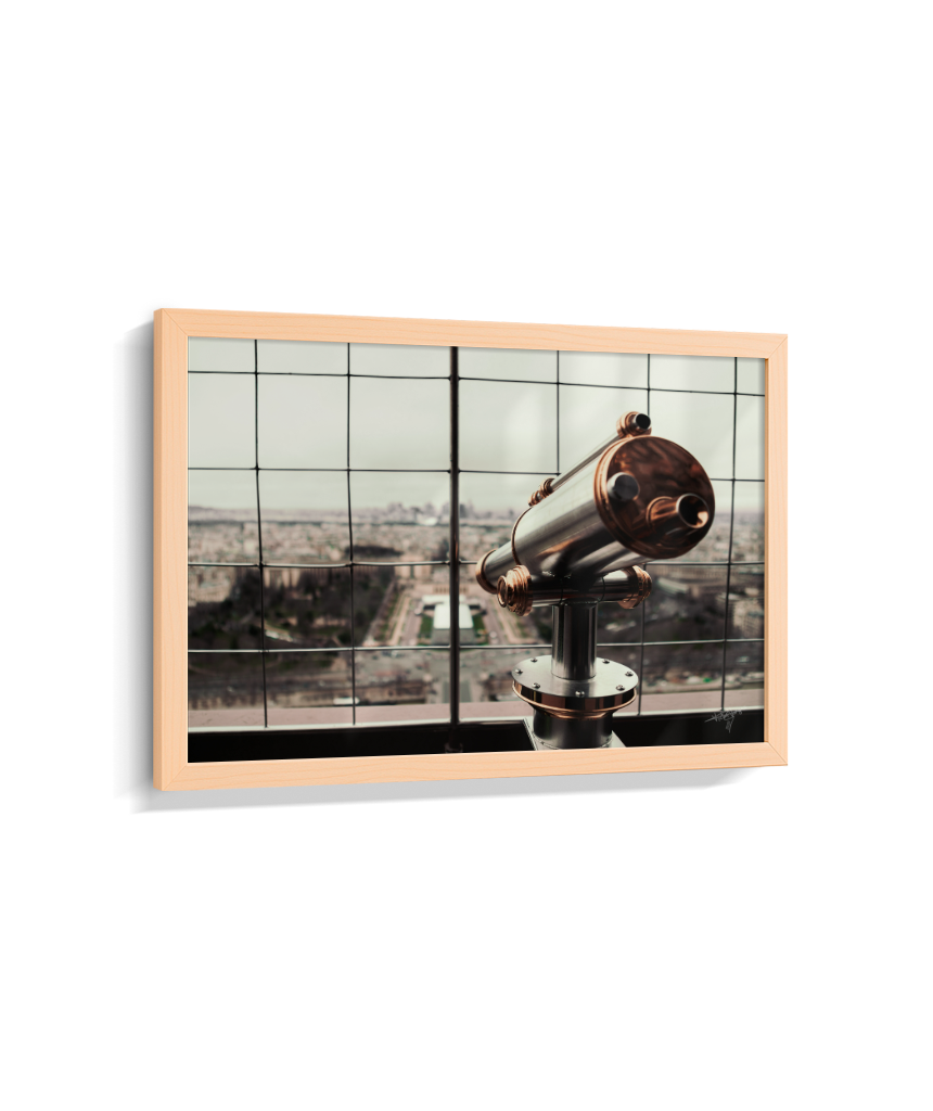 Looking Over Paris