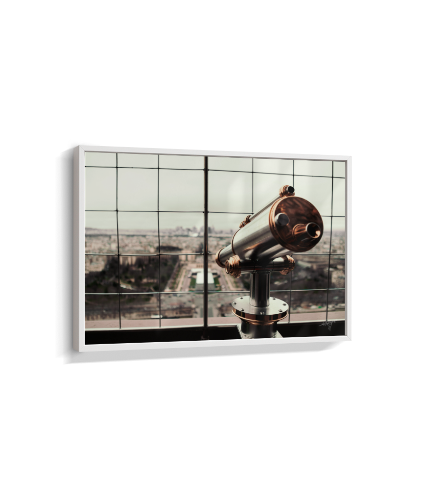 Looking Over Paris