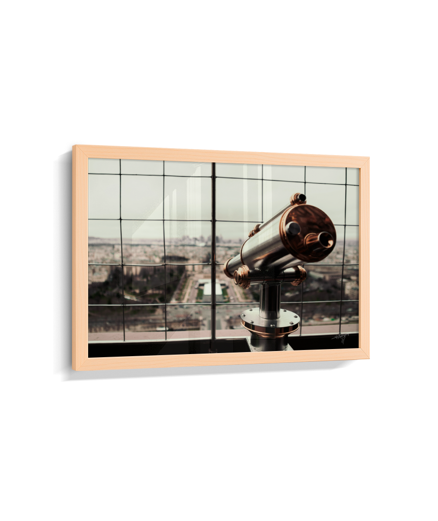 Looking Over Paris