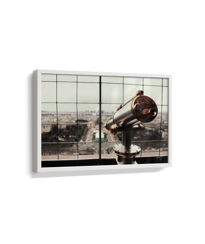 Looking Over Paris