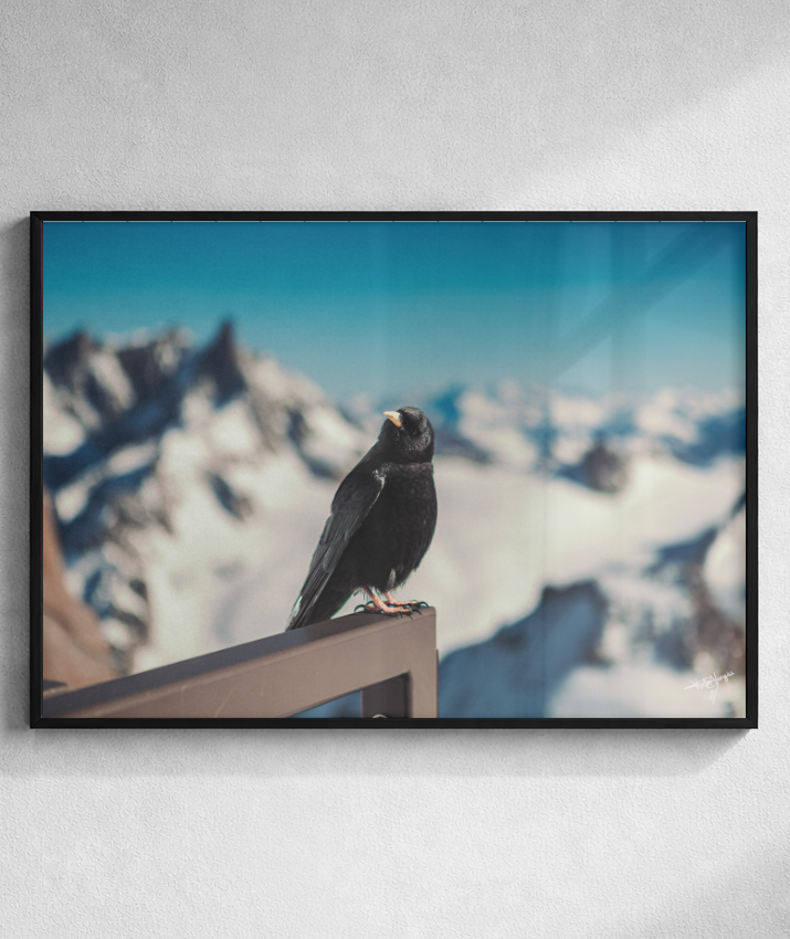 Silent Overlook
