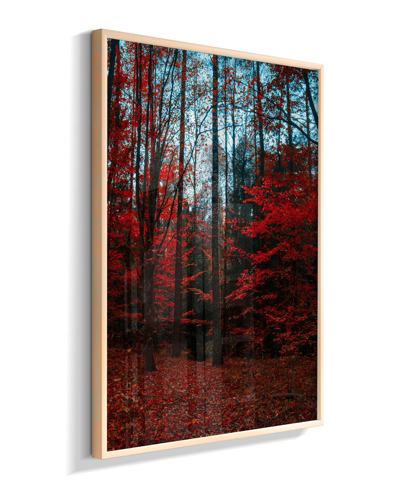 Quadro Decorativo Floresta de Outono com Folhas Vermelhas