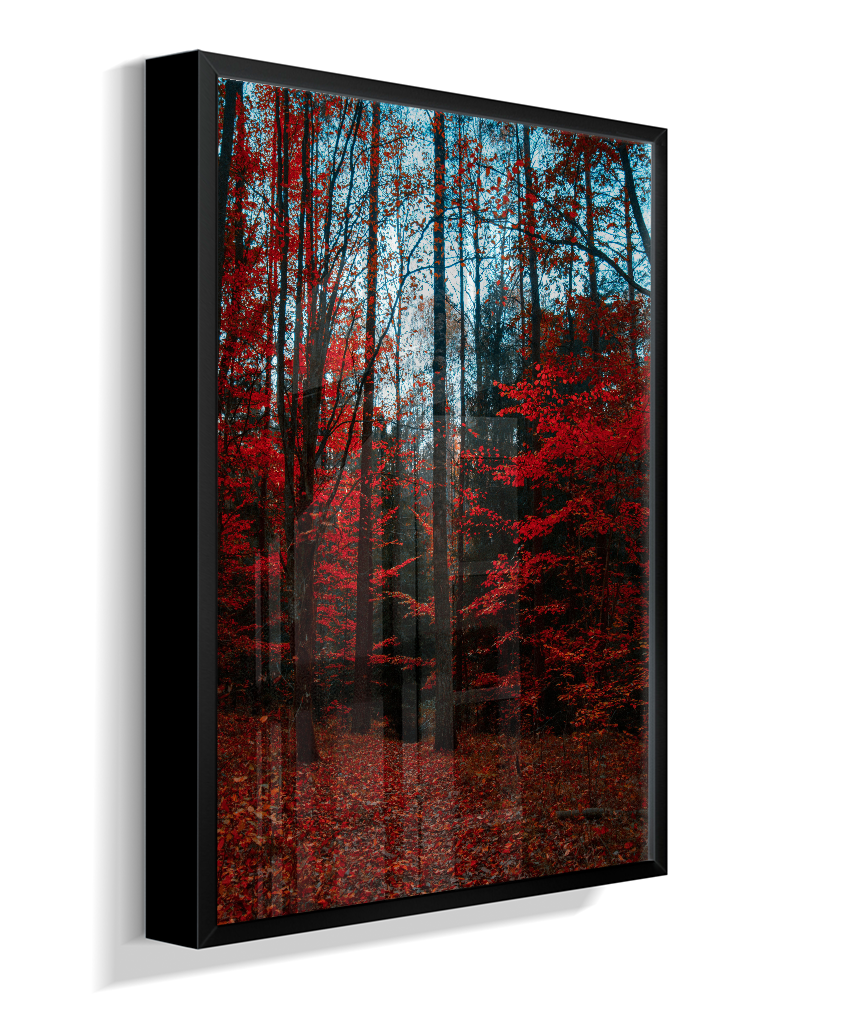Quadro Decorativo Floresta de Outono com Folhas Vermelhas