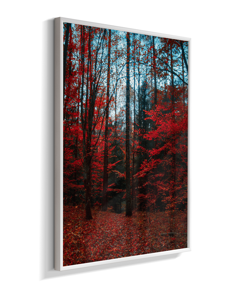 Quadro Decorativo Floresta de Outono com Folhas Vermelhas