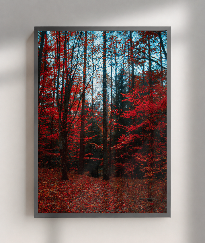 Quadro Decorativo Floresta de Outono com Folhas Vermelhas