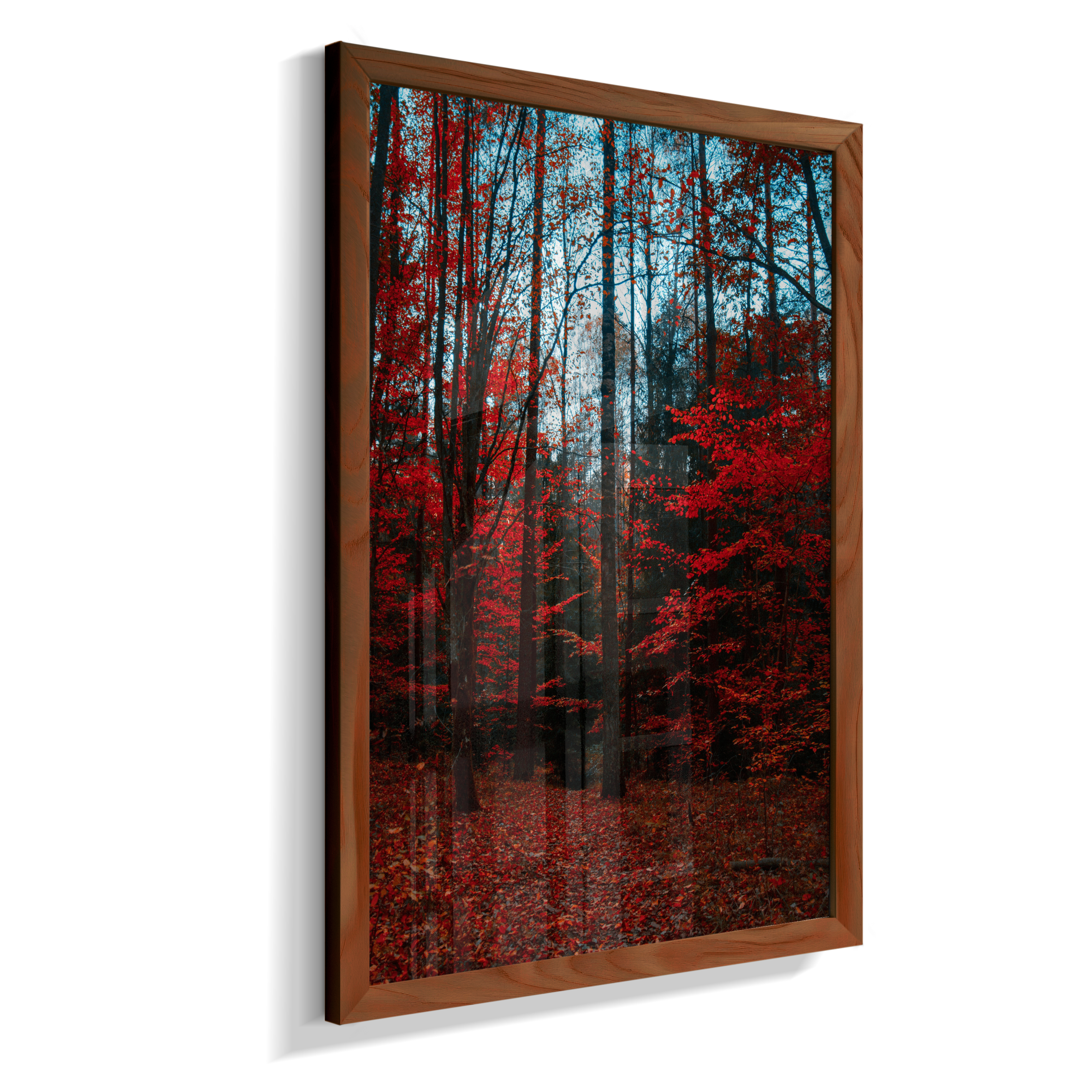 Quadro Decorativo Floresta de Outono com Folhas Vermelhas
