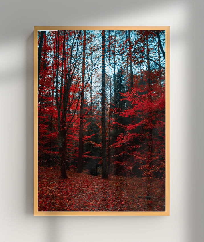 Quadro Decorativo Floresta de Outono com Folhas Vermelhas