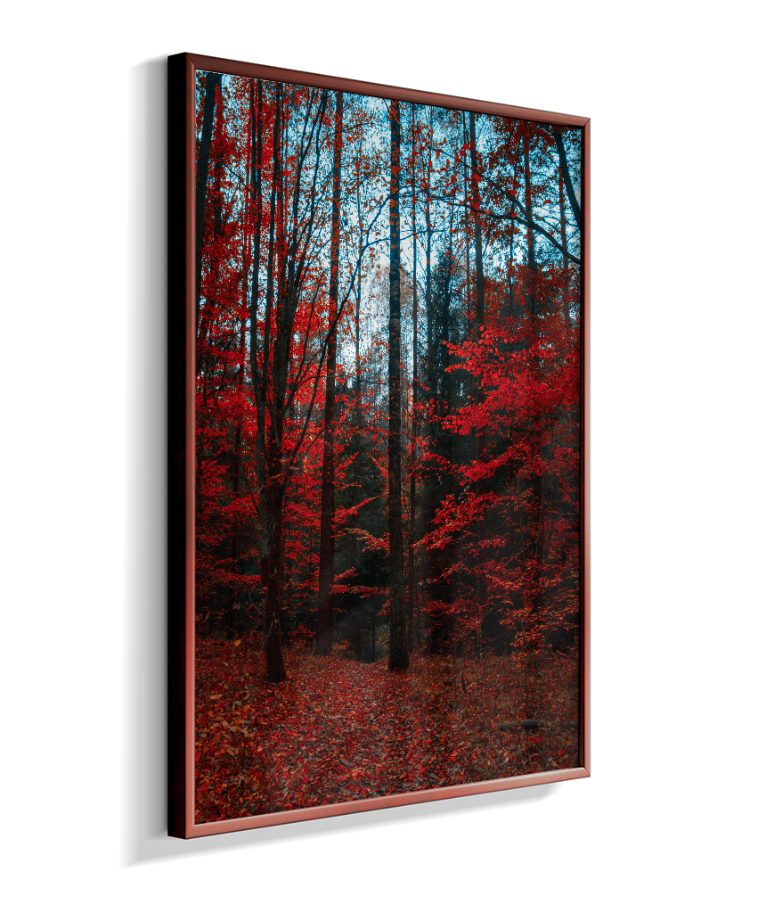 Quadro Decorativo Floresta de Outono com Folhas Vermelhas