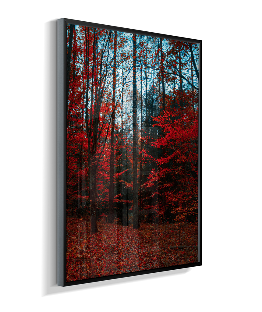 Quadro Decorativo Floresta de Outono com Folhas Vermelhas