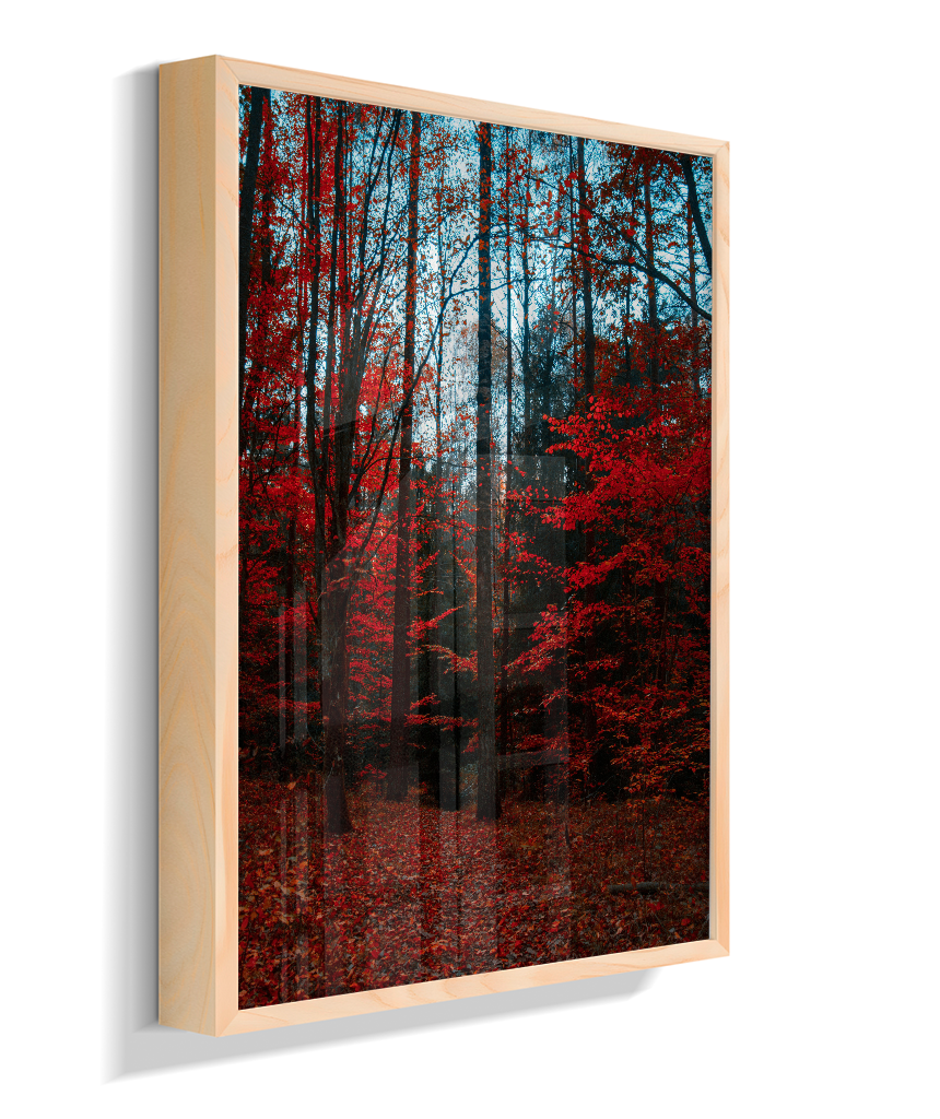 Quadro Decorativo Floresta de Outono com Folhas Vermelhas