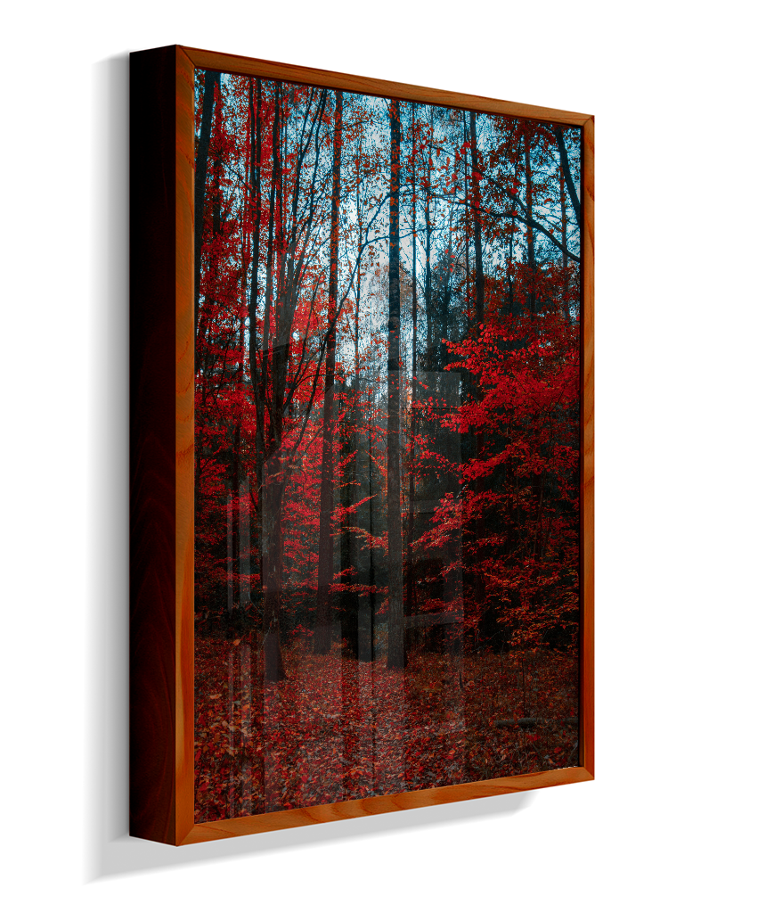 Quadro Decorativo Floresta de Outono com Folhas Vermelhas