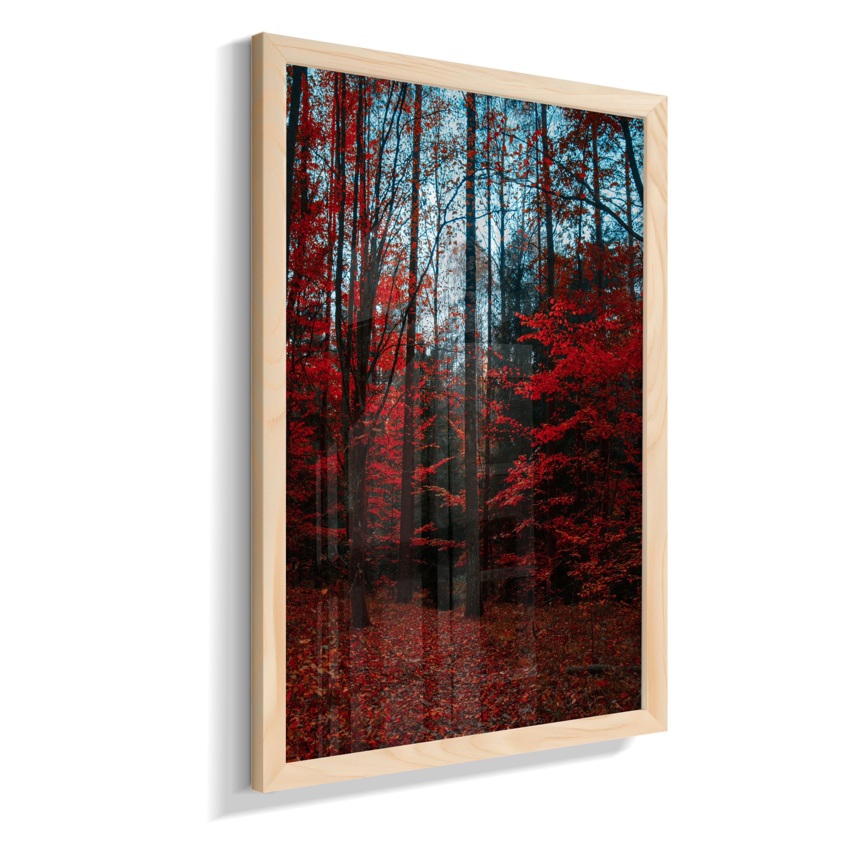 Quadro Decorativo Floresta de Outono com Folhas Vermelhas