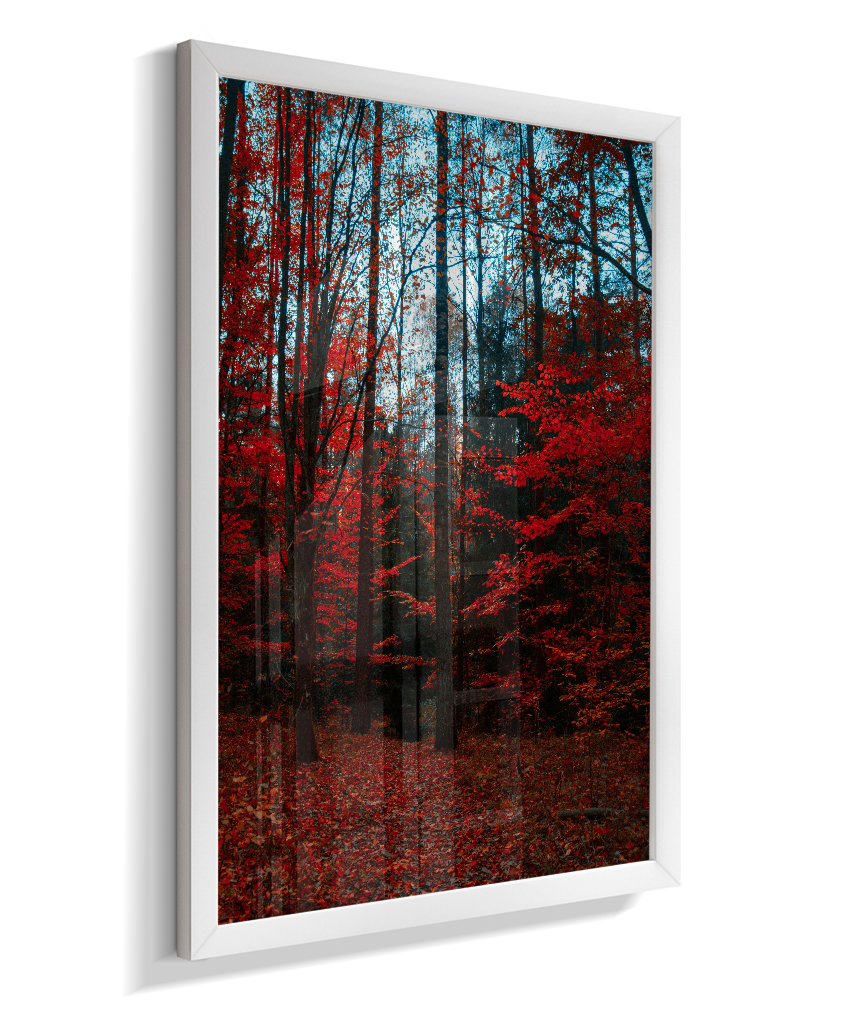 Quadro Decorativo Floresta de Outono com Folhas Vermelhas