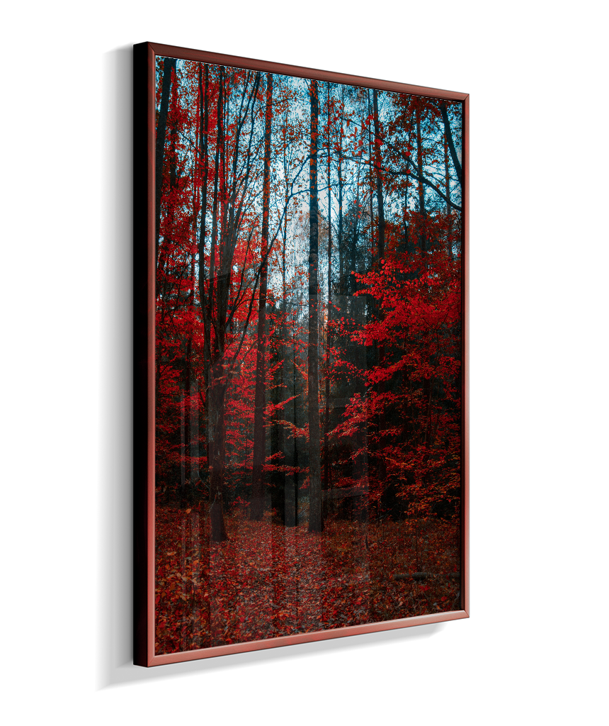 Quadro Decorativo Floresta de Outono com Folhas Vermelhas