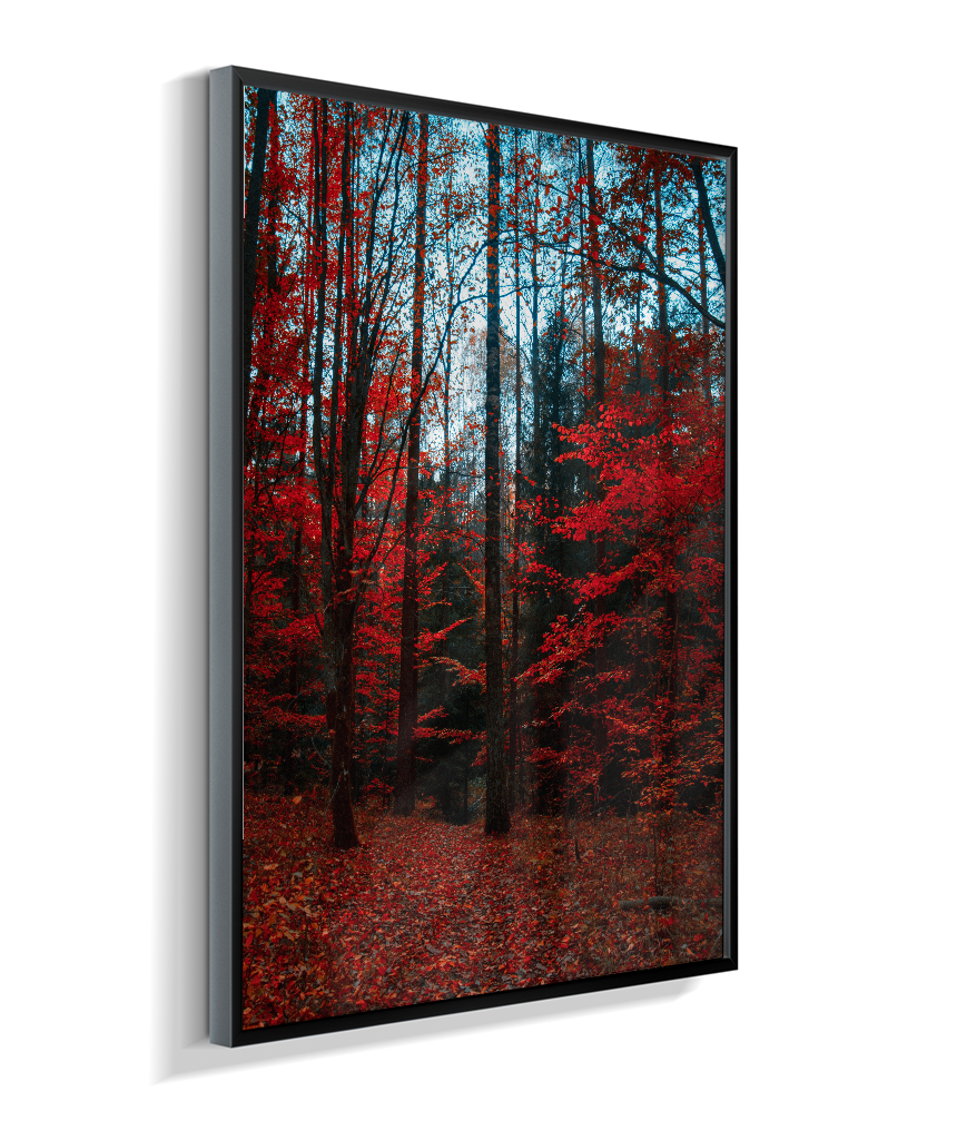Quadro Decorativo Floresta de Outono com Folhas Vermelhas