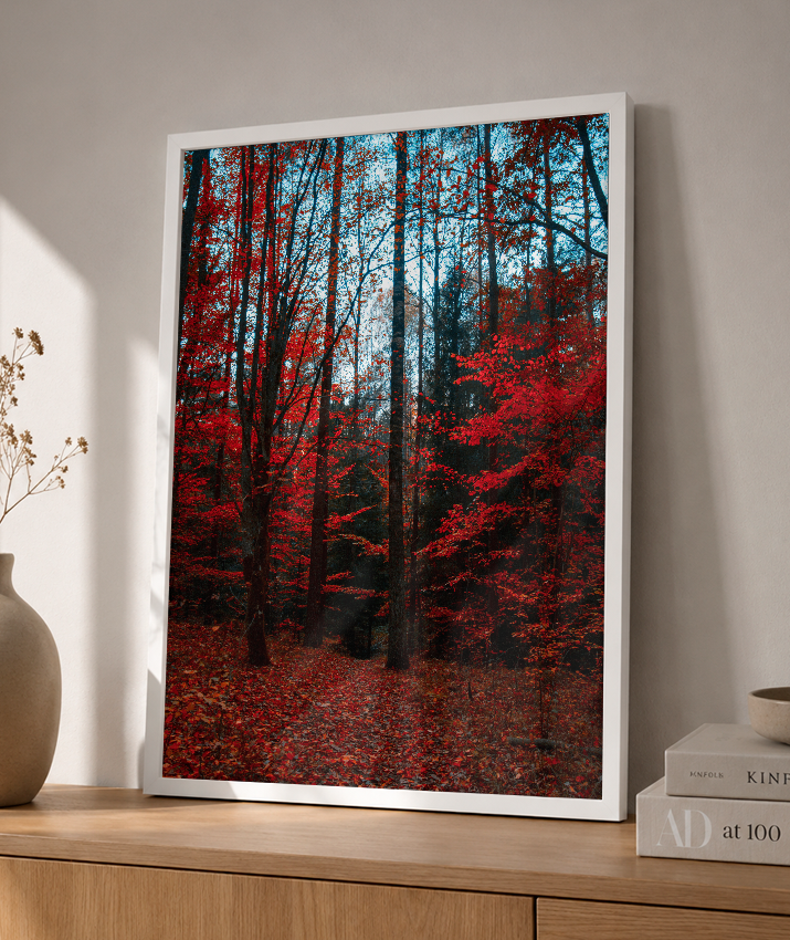 Quadro Decorativo Floresta de Outono com Folhas Vermelhas