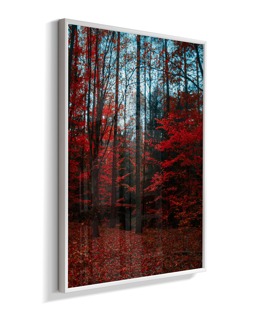 Quadro Decorativo Floresta de Outono com Folhas Vermelhas