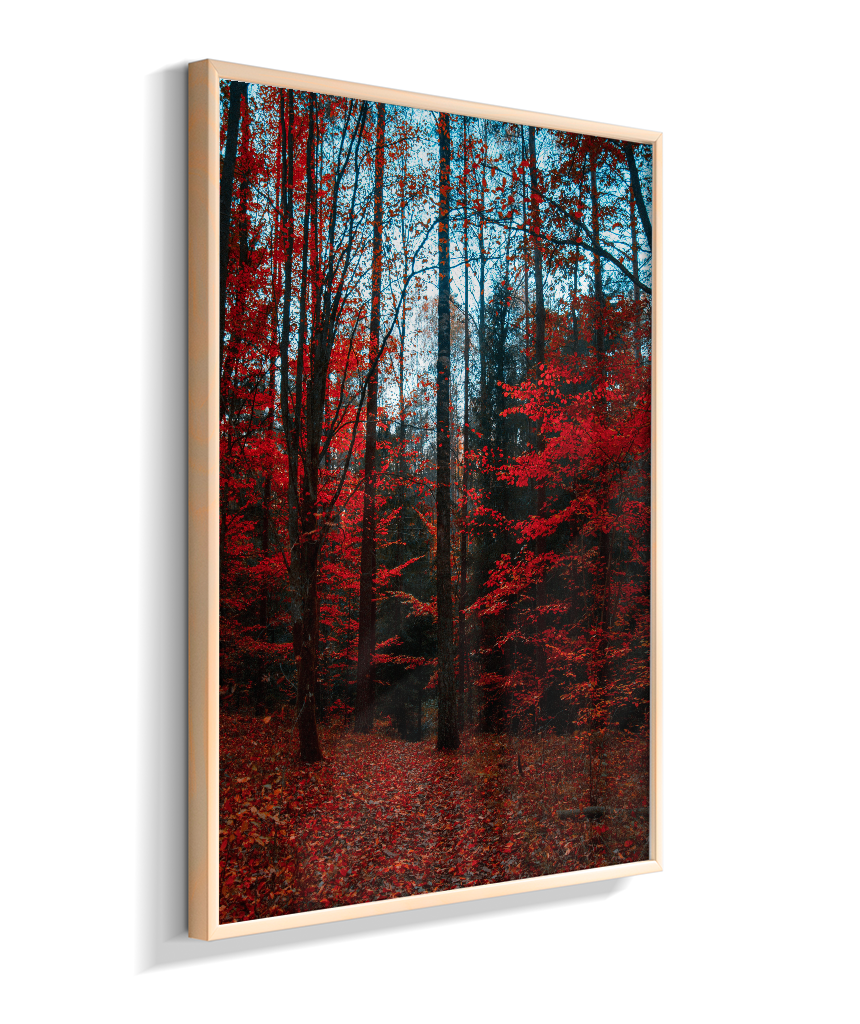 Quadro Decorativo Floresta de Outono com Folhas Vermelhas