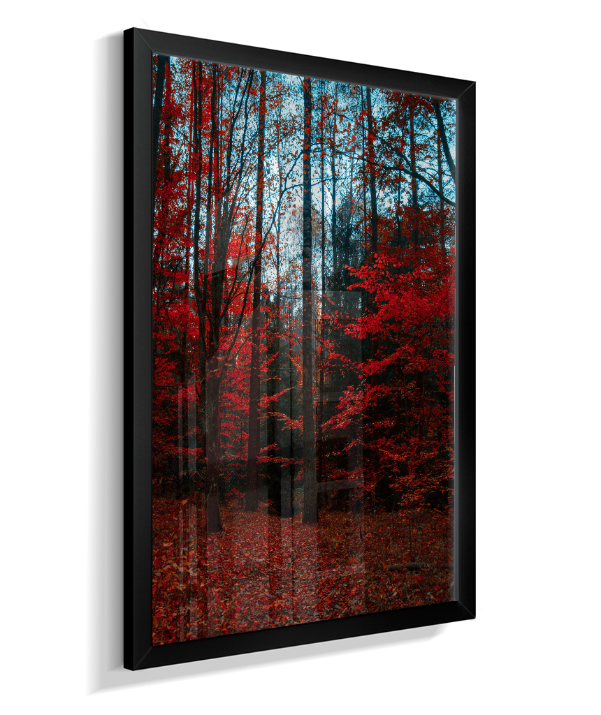 Quadro Decorativo Floresta de Outono com Folhas Vermelhas