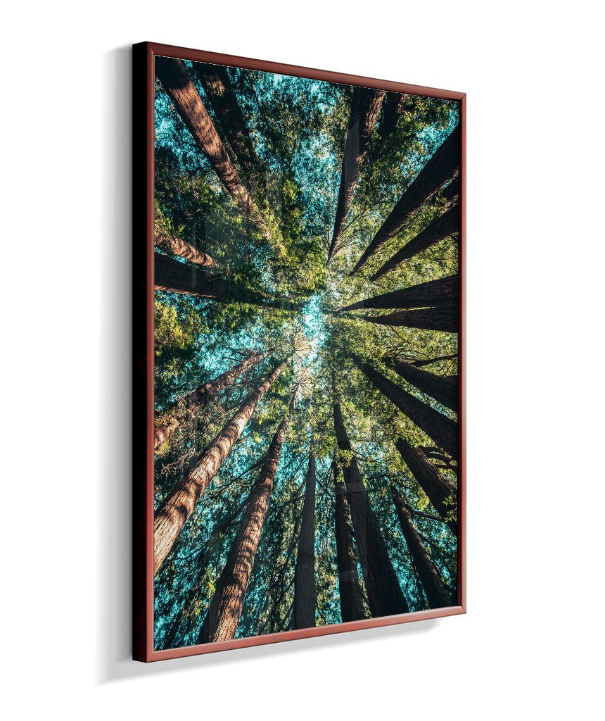 Quadro Decorativo Floresta