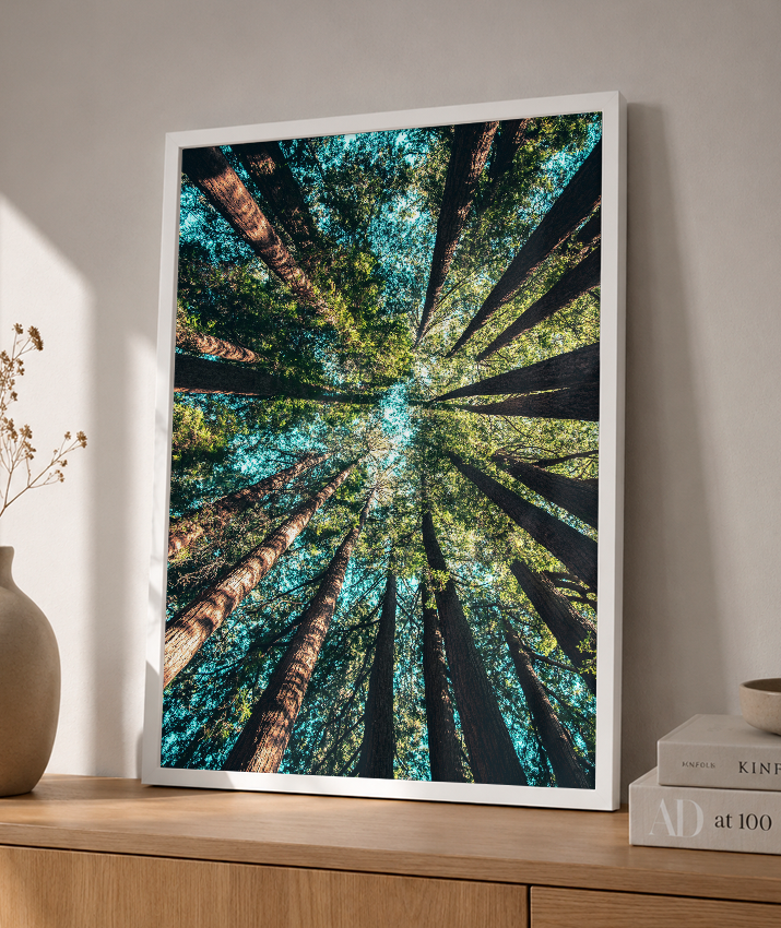 Quadro Decorativo Floresta