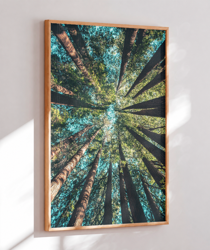 Quadro Decorativo Floresta