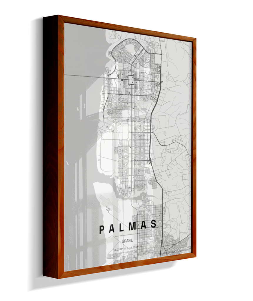 Quadro Mapa de Palmas - Vertical