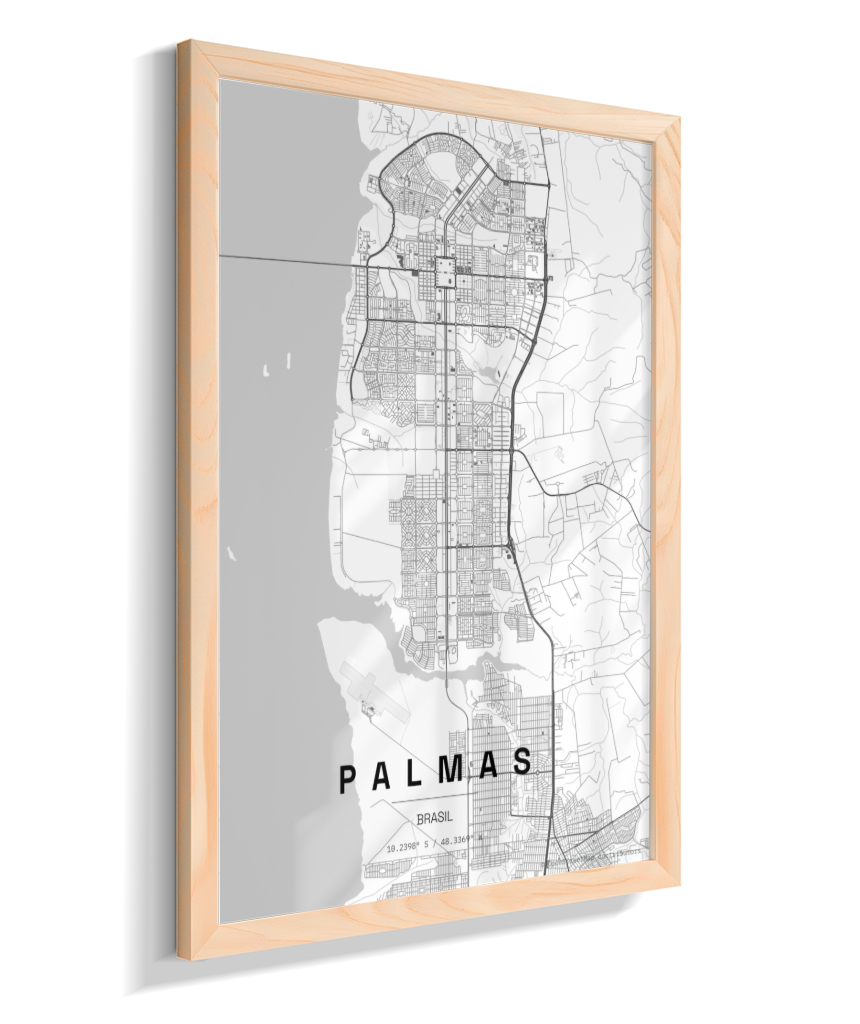 Quadro Mapa de Palmas - Vertical
