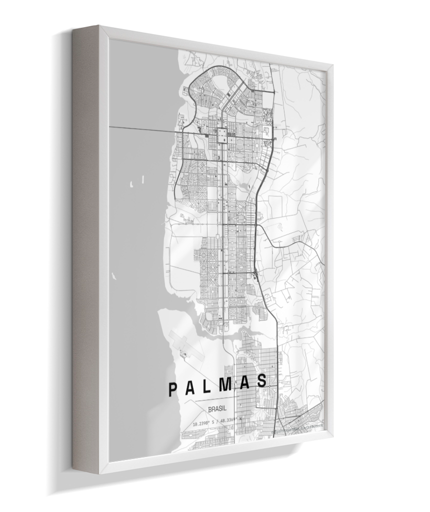 Quadro Mapa de Palmas - Vertical