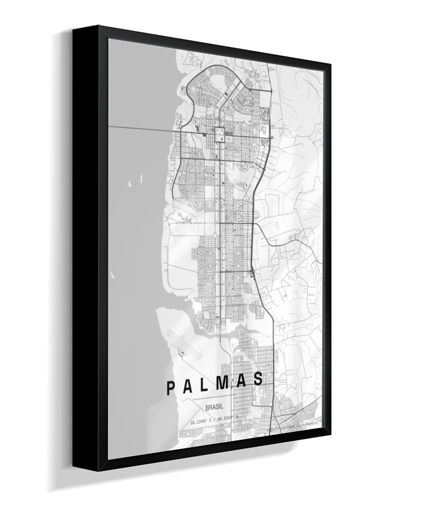Quadro Mapa de Palmas - Vertical