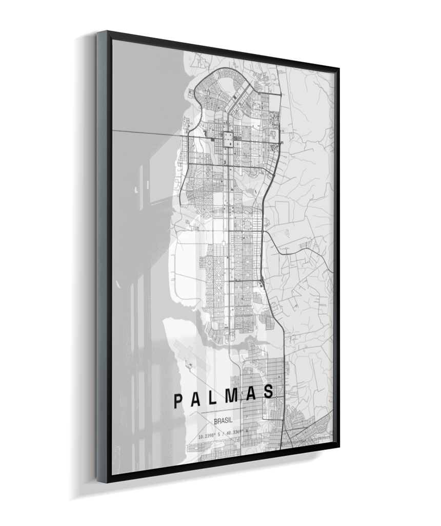 Quadro Mapa de Palmas - Vertical