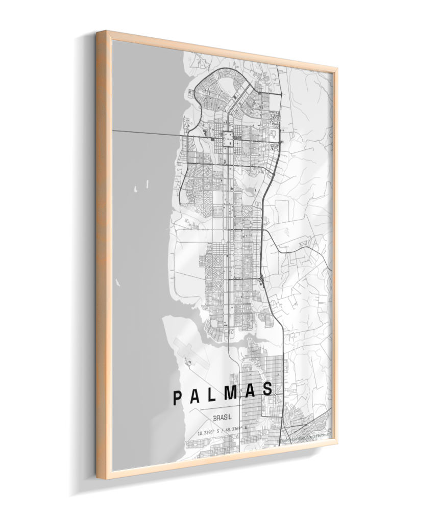 Quadro Mapa de Palmas - Vertical