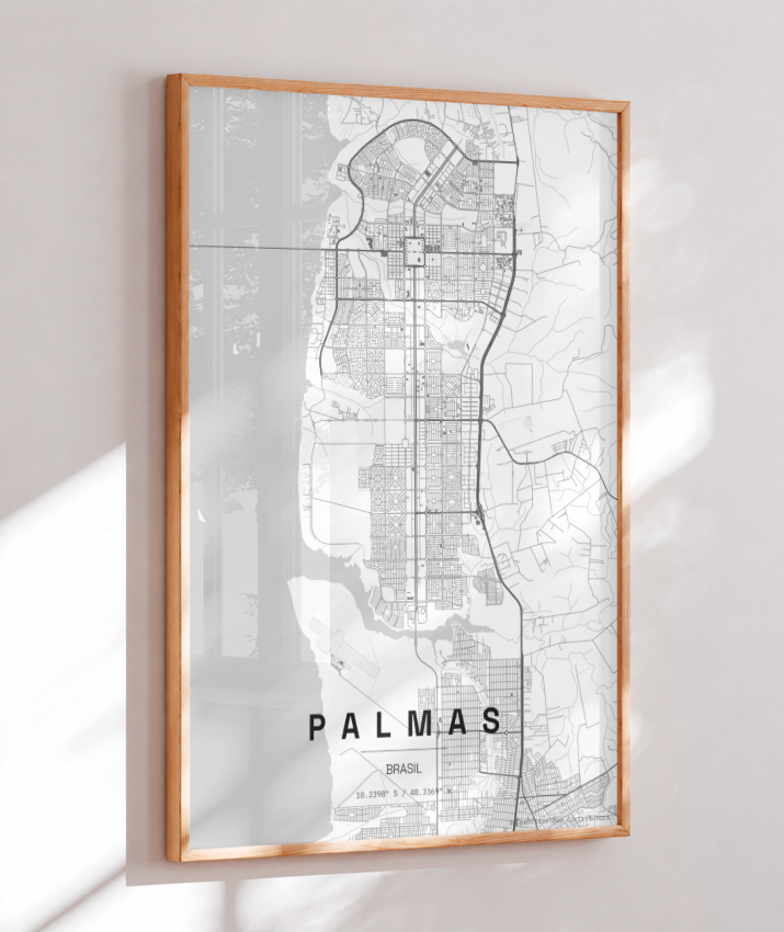 Quadro Mapa de Palmas - Vertical