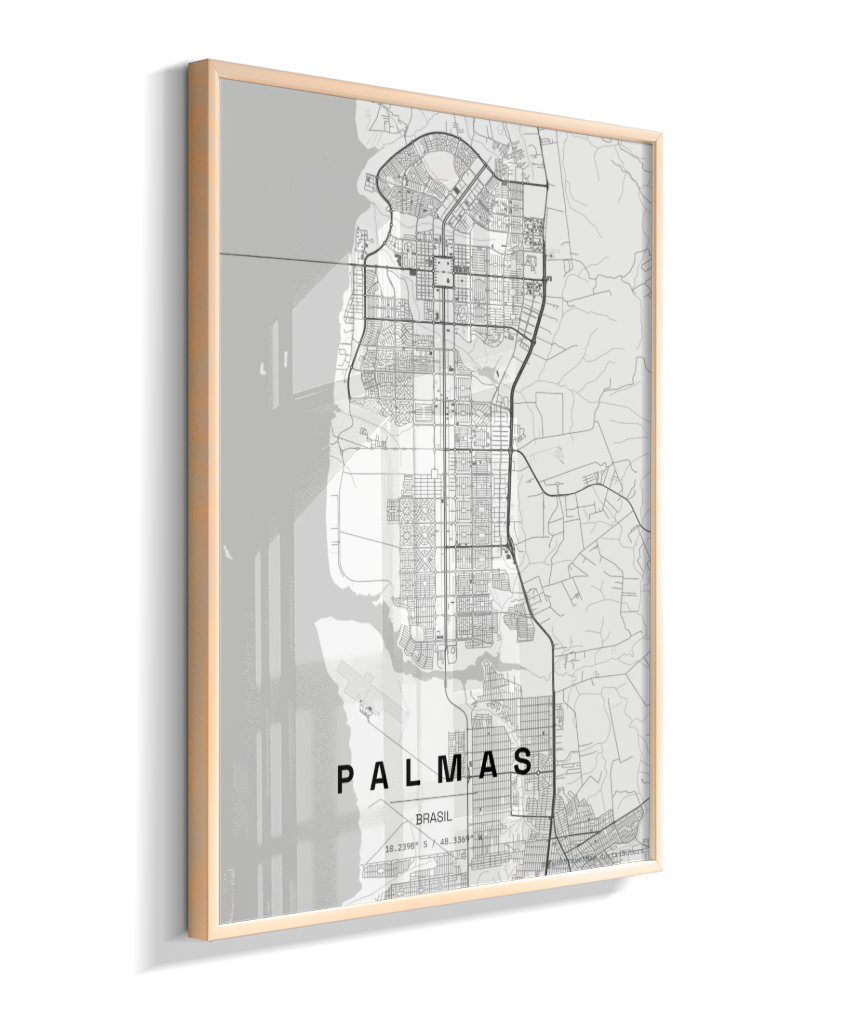 Quadro Mapa de Palmas - Vertical
