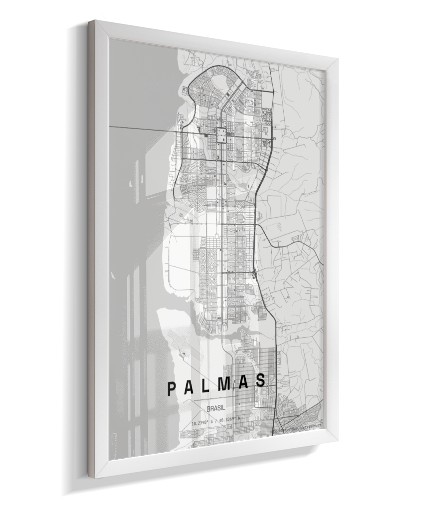 Quadro Mapa de Palmas - Vertical