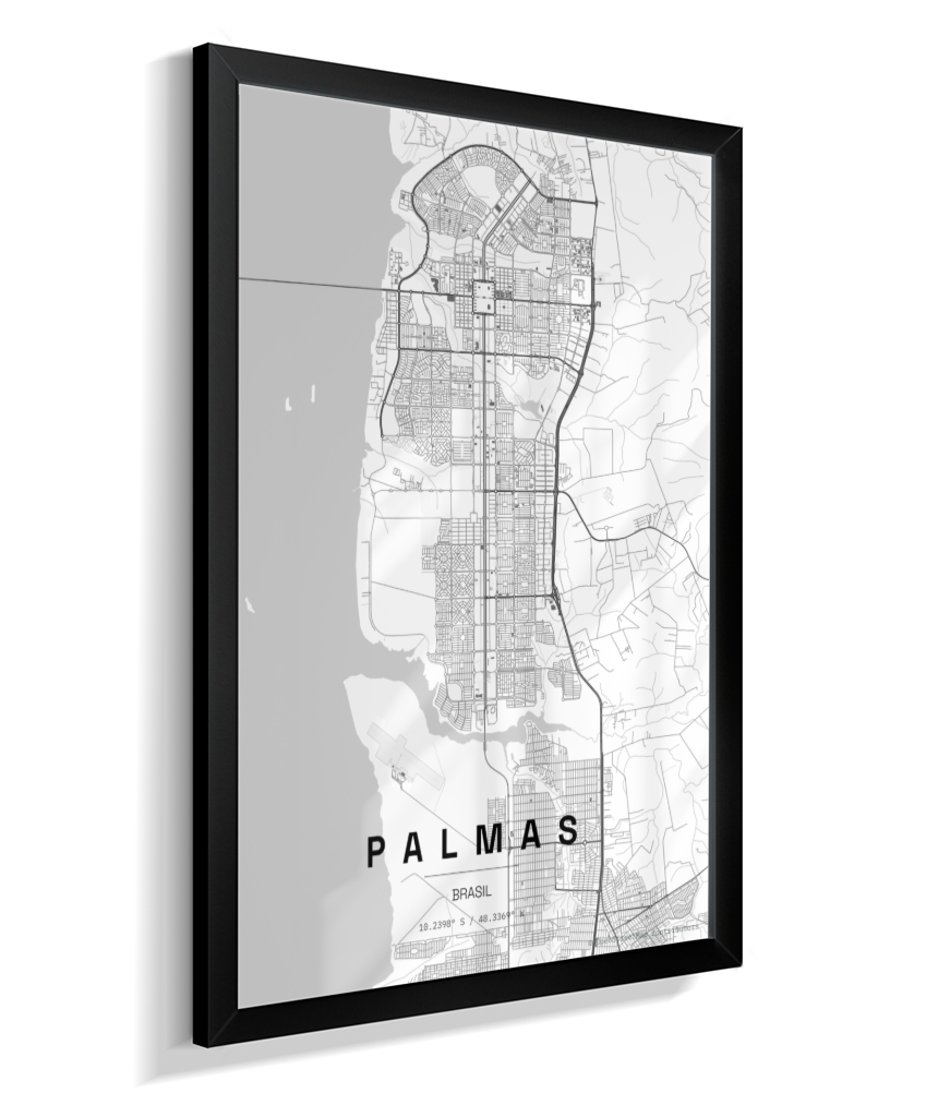 Quadro Mapa de Palmas - Vertical
