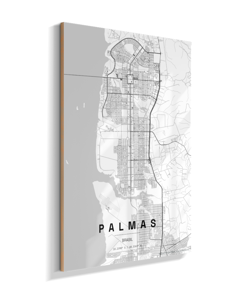 Quadro Mapa de Palmas - Vertical