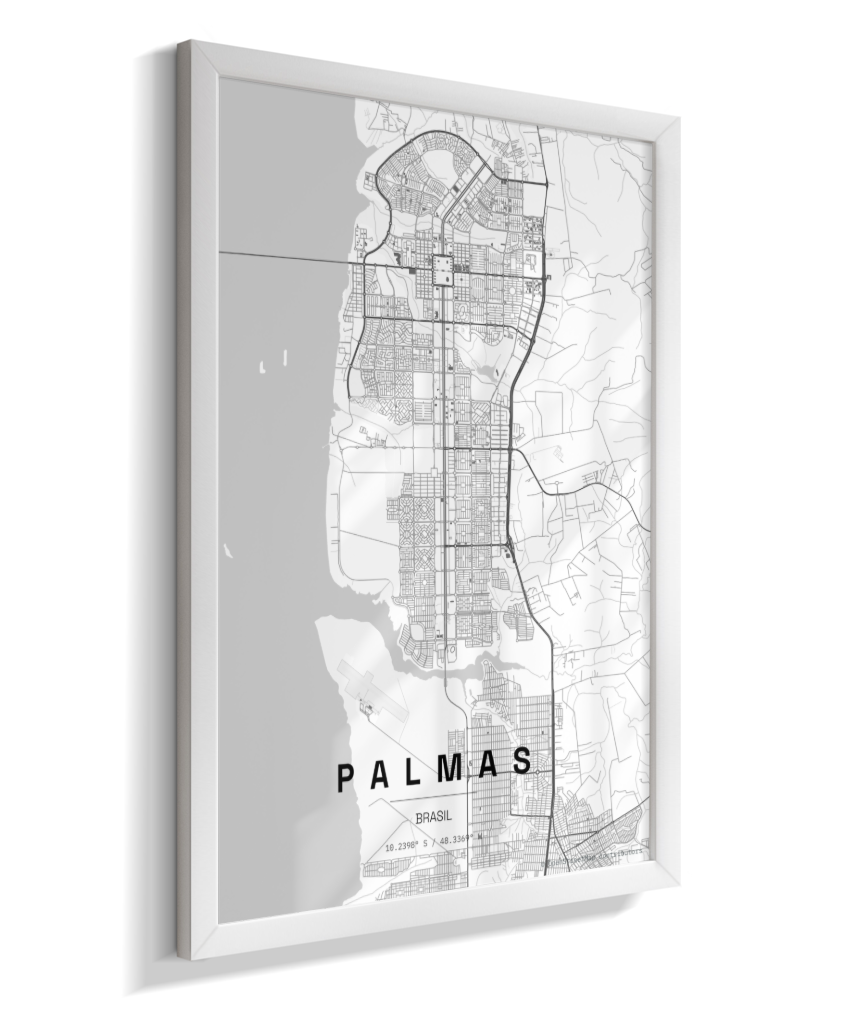 Quadro Mapa de Palmas - Vertical