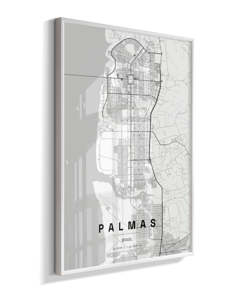 Quadro Mapa de Palmas - Vertical