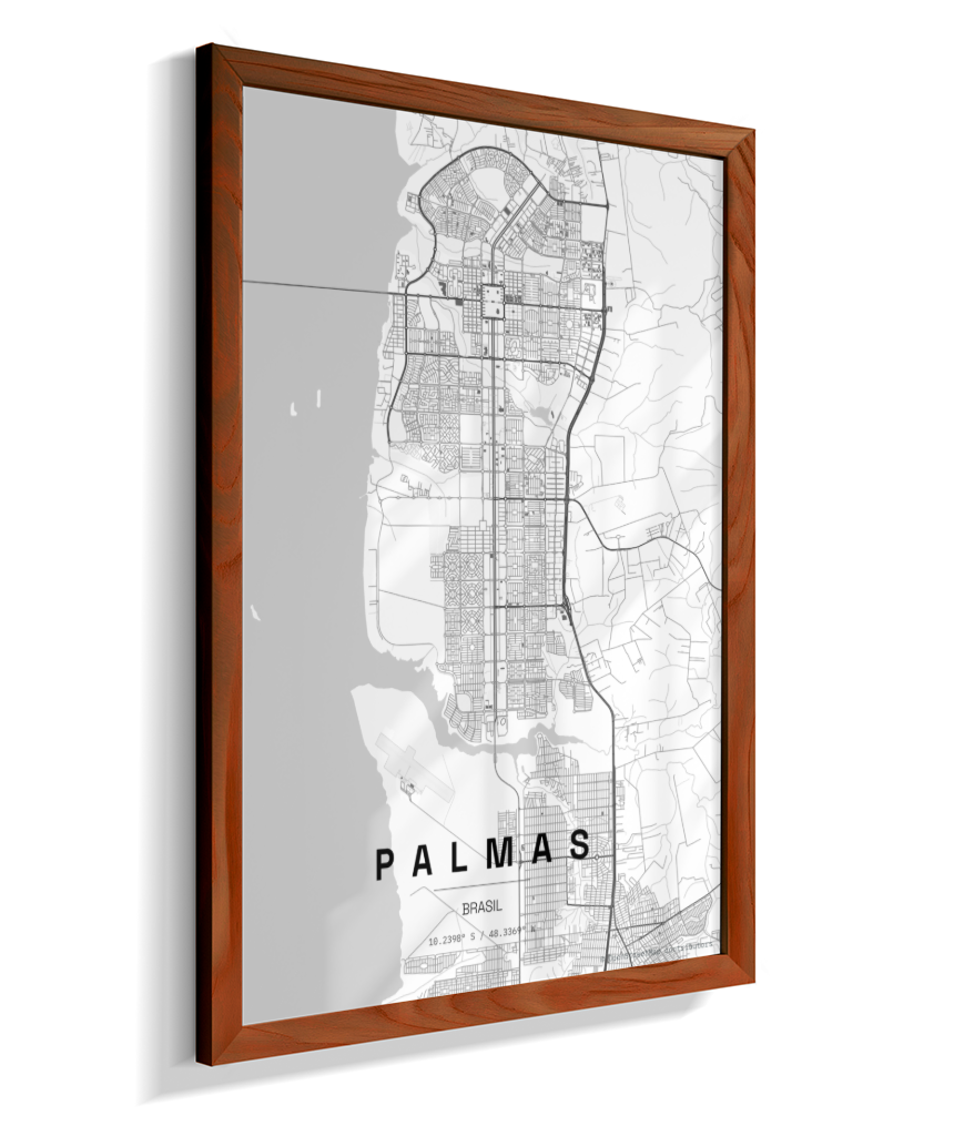 Quadro Mapa de Palmas - Vertical