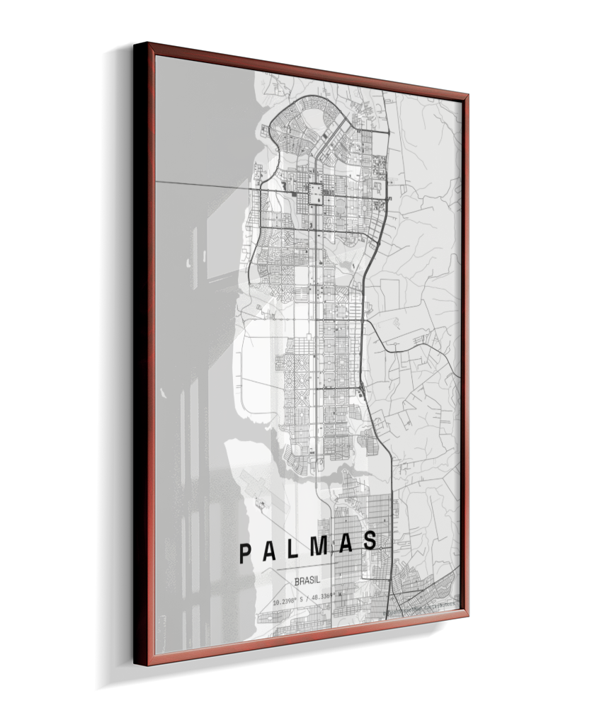 Quadro Mapa de Palmas - Vertical