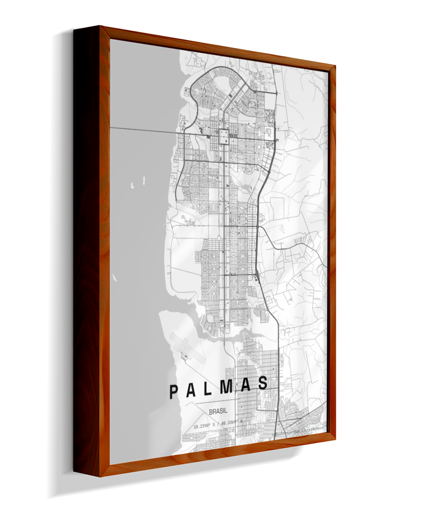 Quadro Mapa de Palmas - Vertical