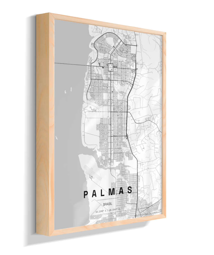 Quadro Mapa de Palmas - Vertical