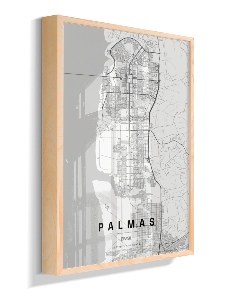 Quadro Mapa de Palmas - Vertical
