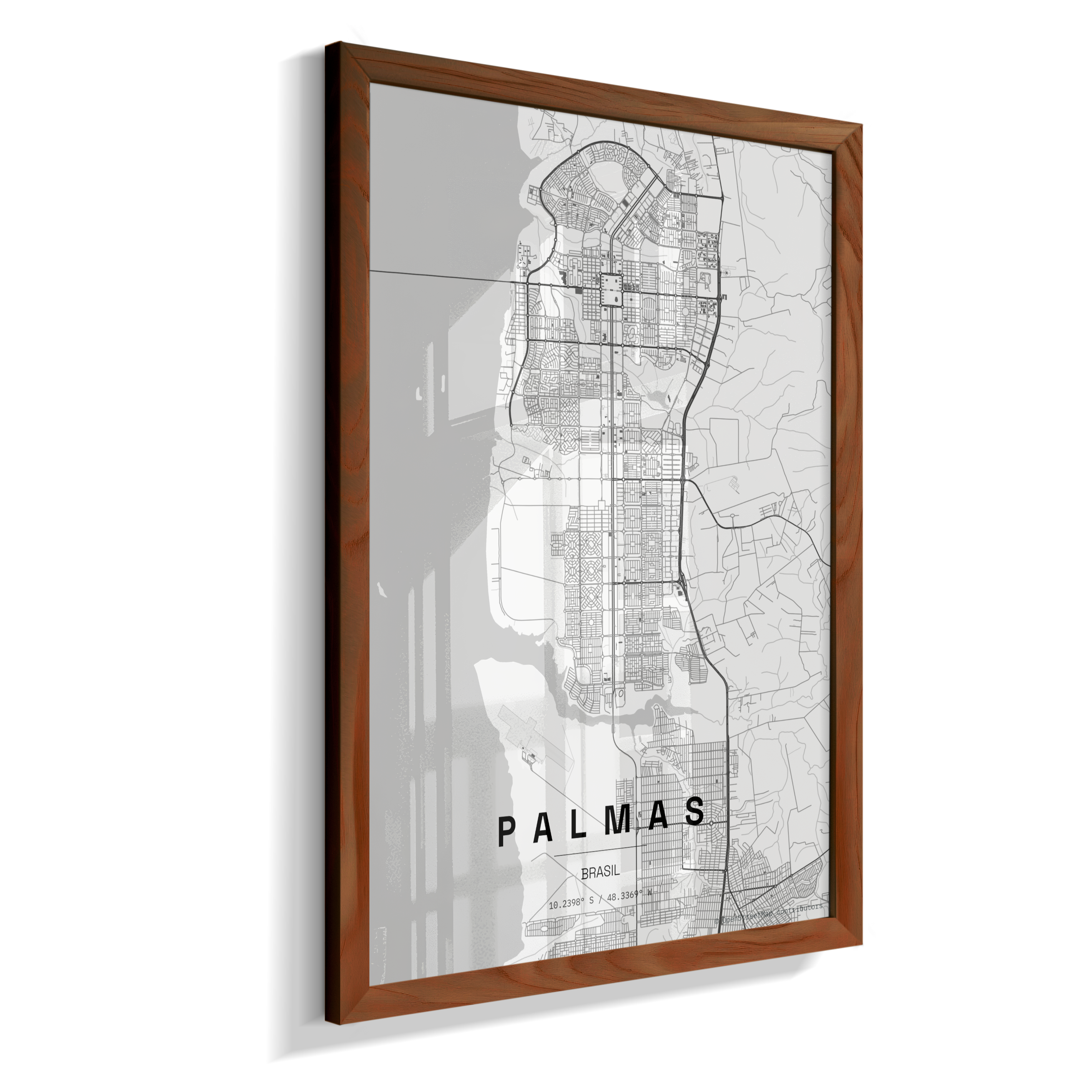 Quadro Mapa de Palmas - Vertical