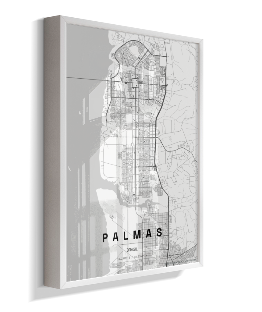 Quadro Mapa de Palmas - Vertical