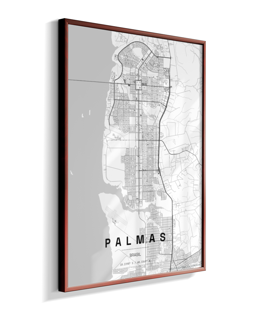 Quadro Mapa de Palmas - Vertical