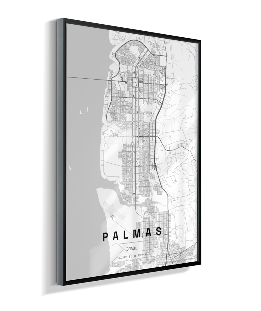 Quadro Mapa de Palmas - Vertical